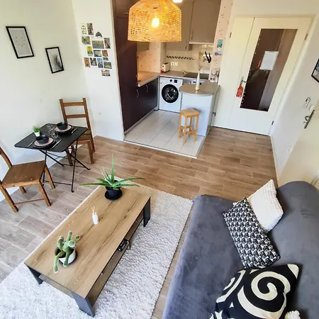 Le Salluste Cosy T2 With Balcony In Strasbourg